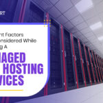 The Importance Of Network Management Services For Your Business